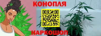 PSILOCYBIN Ирбит