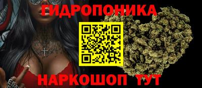 PSILOCYBIN Ирбит