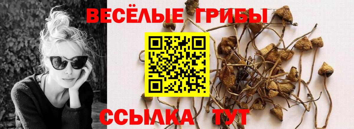 Псилоцибиновые грибы GOLDEN TEACHER  Галлюциногенные грибы Magic Shrooms  Семёнов  Вход с VPN 